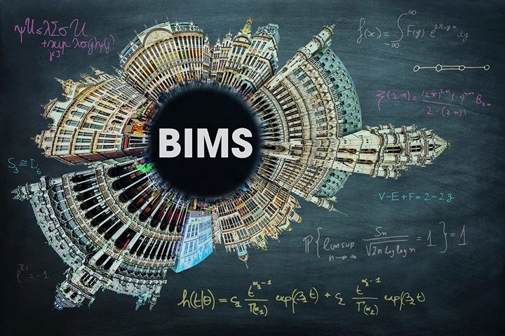 BIMS-logo